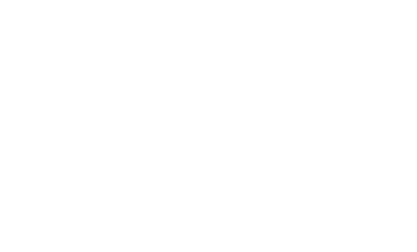 FINNS Bali logo