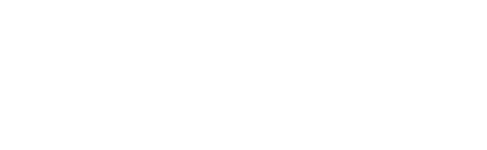 Nicholas Levenstein & Company logo